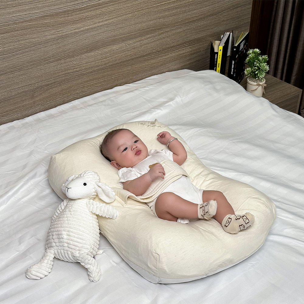 gối chống trào ngược IVORY 11