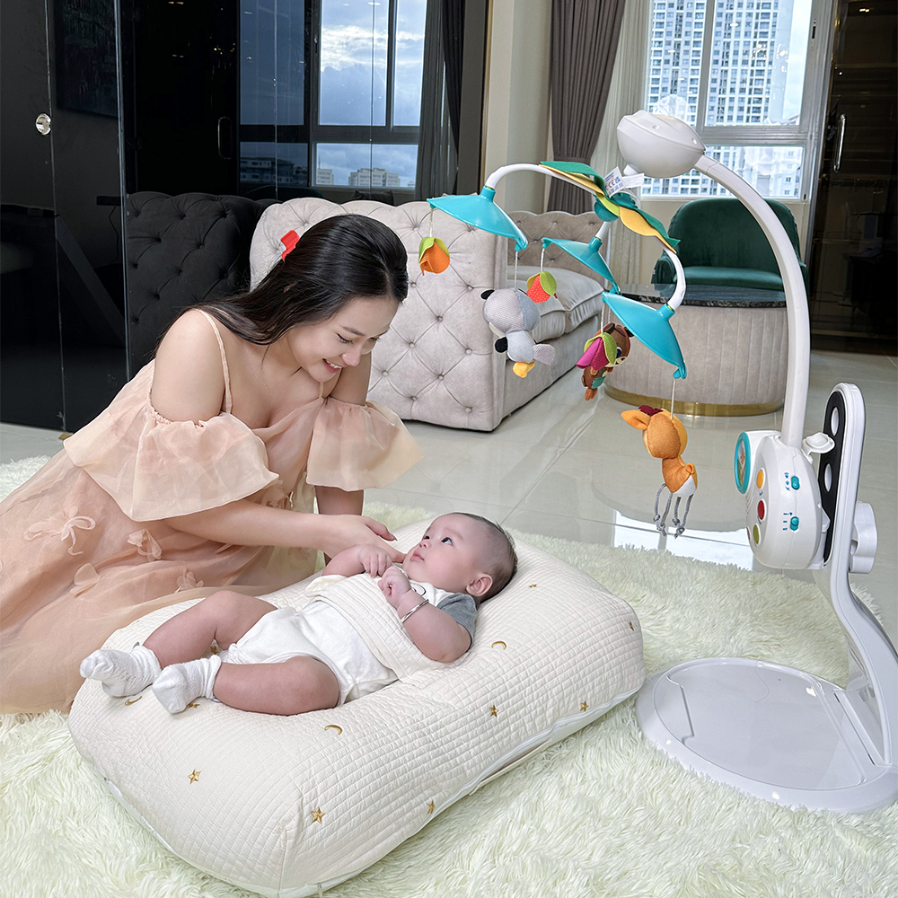 gối chống trào ngược MOON AND STAR 4