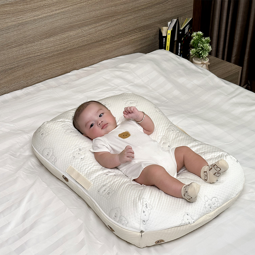 gối chống trào ngược bear 9